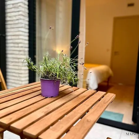 Le Paisible écrin - Face à L'opéra, Hypercentre *